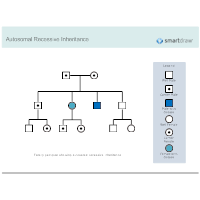 Autosomal Recessive Inheritance
