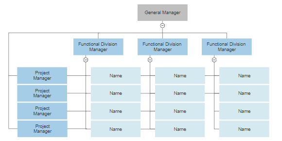 Matrix organizational chart