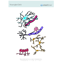 Neuroglia Cells