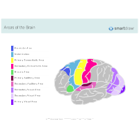 Regions of Brain